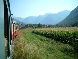 Treno e campagna all'imbocco della Val Mesolcina - 24 agosto 2003