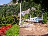 Stazione di Varenna  in fiore